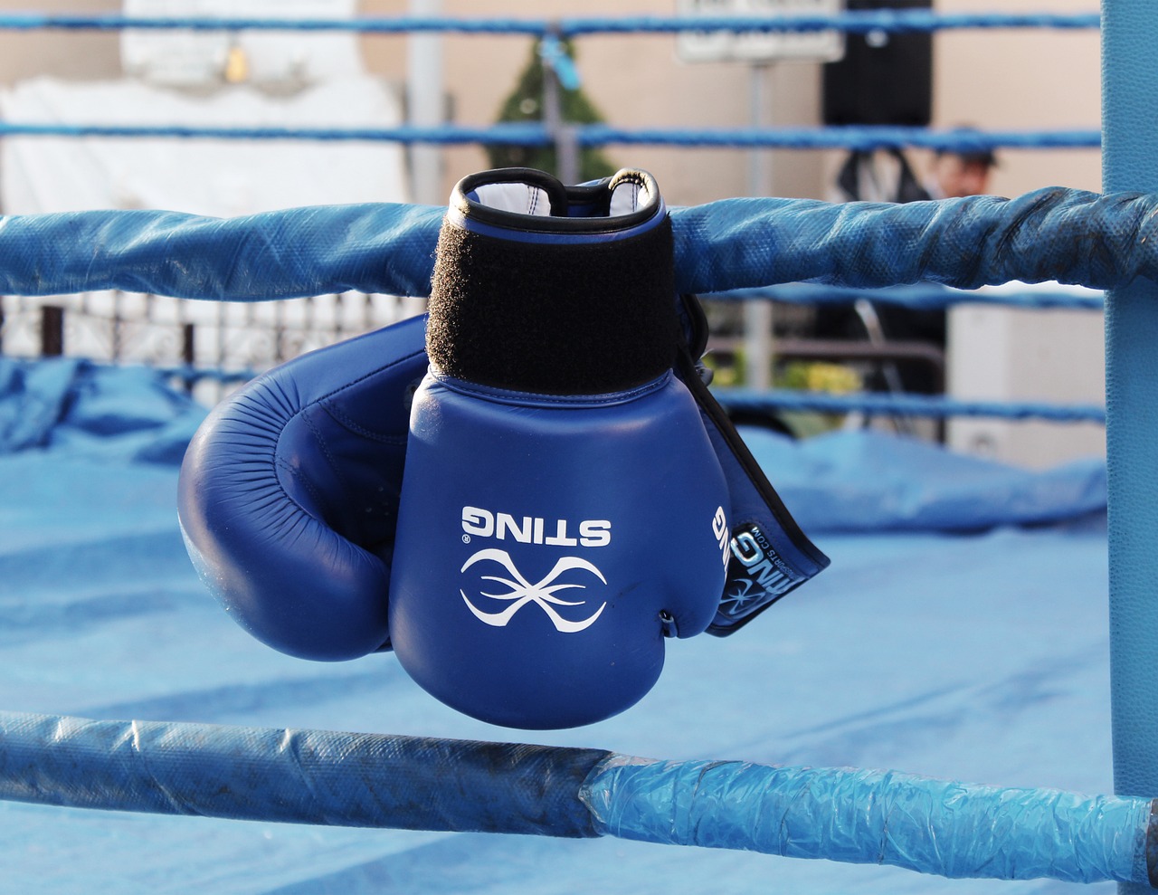 boxing, boxing gloves, match