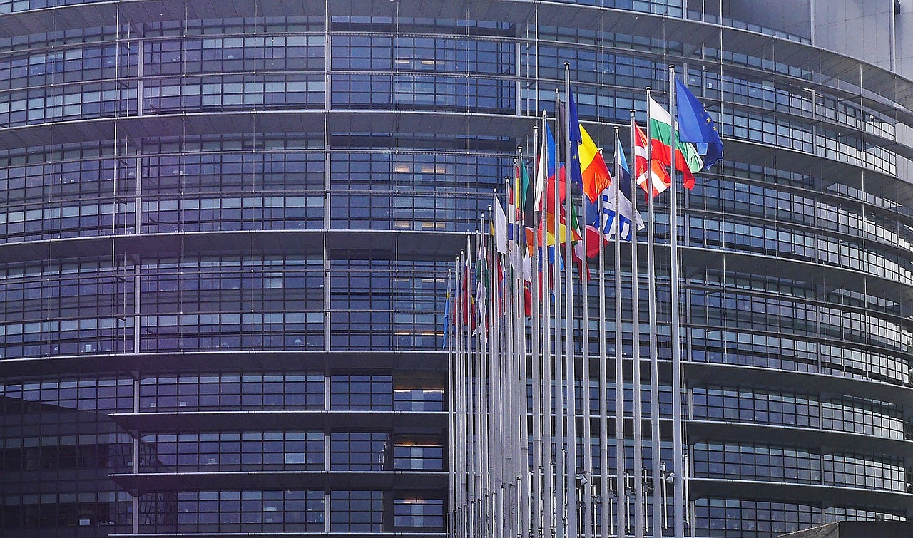 european parliament, strasbourg, flags